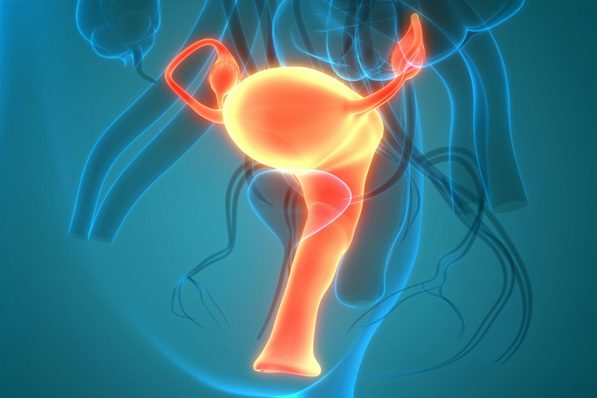 standiger-harndrang-bei-frauen