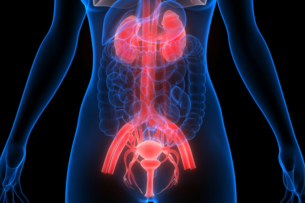 beckenbodenfunktionsstörung